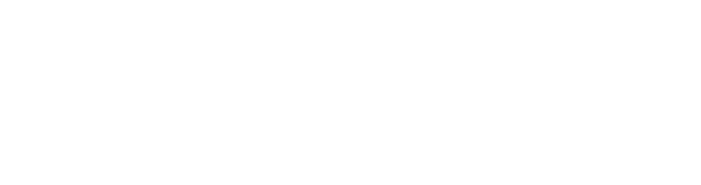 VIRPIL Controls logo